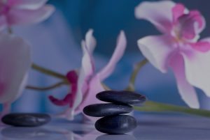 Bay Breeze Massage - Contact